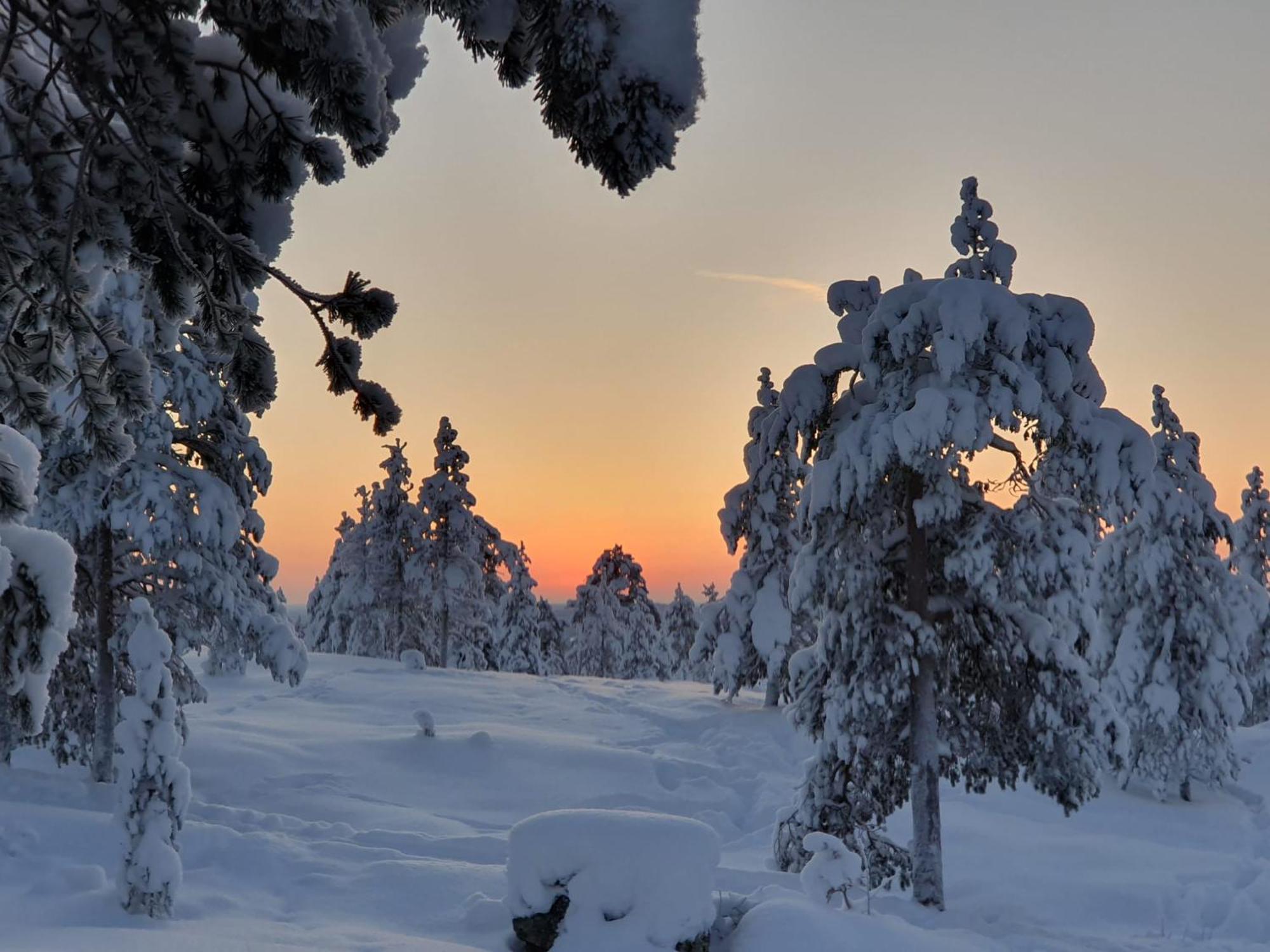 Make Yourself At * Rovaniemi