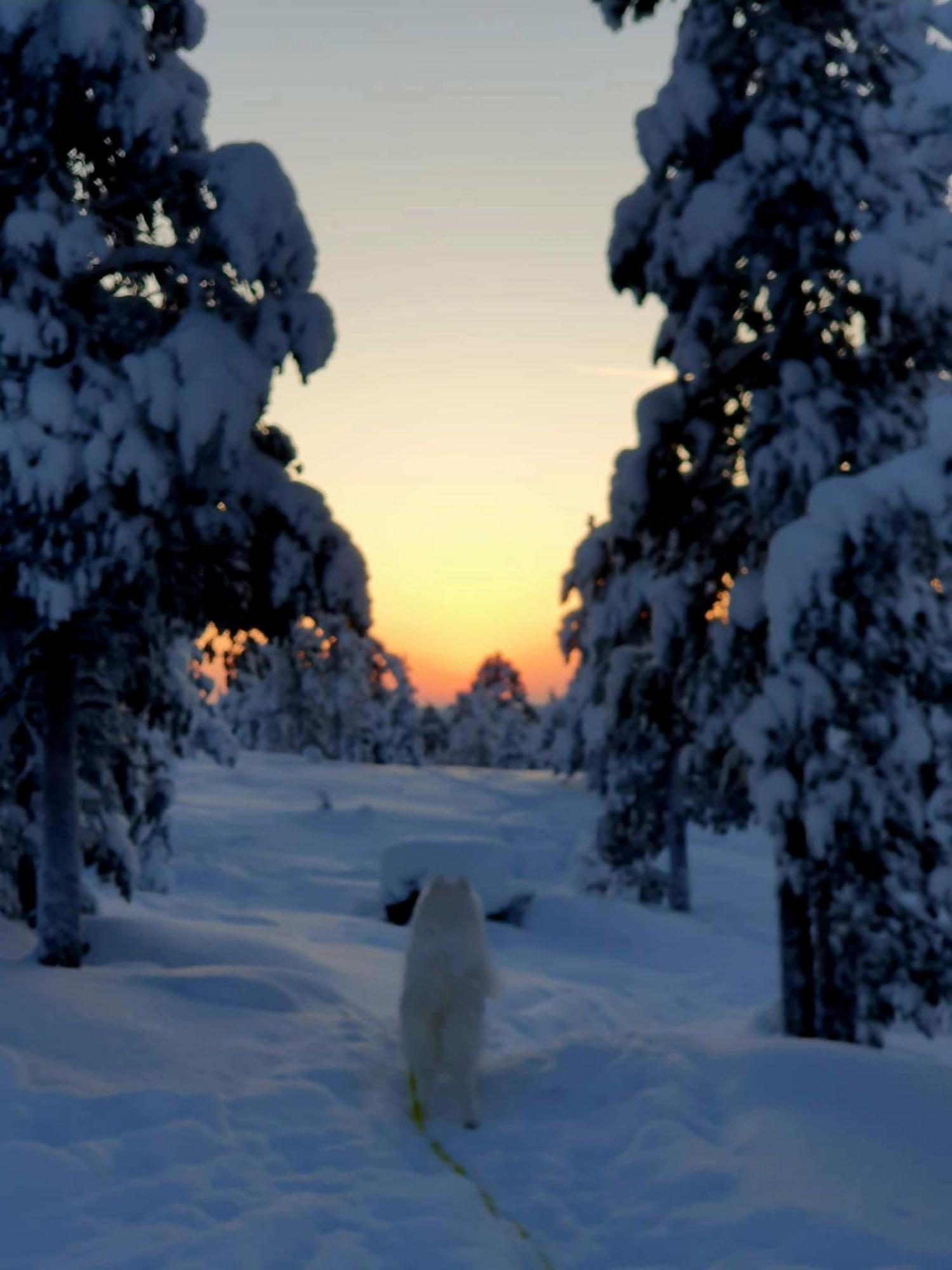 Make Yourself At Rovaniemi